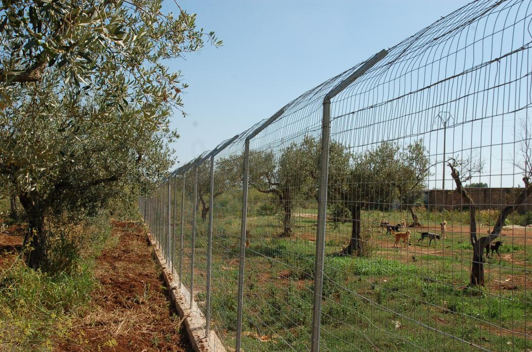 Recinzione Terreno agricolo con pali zincati ORMA (protezione e sicurezza)